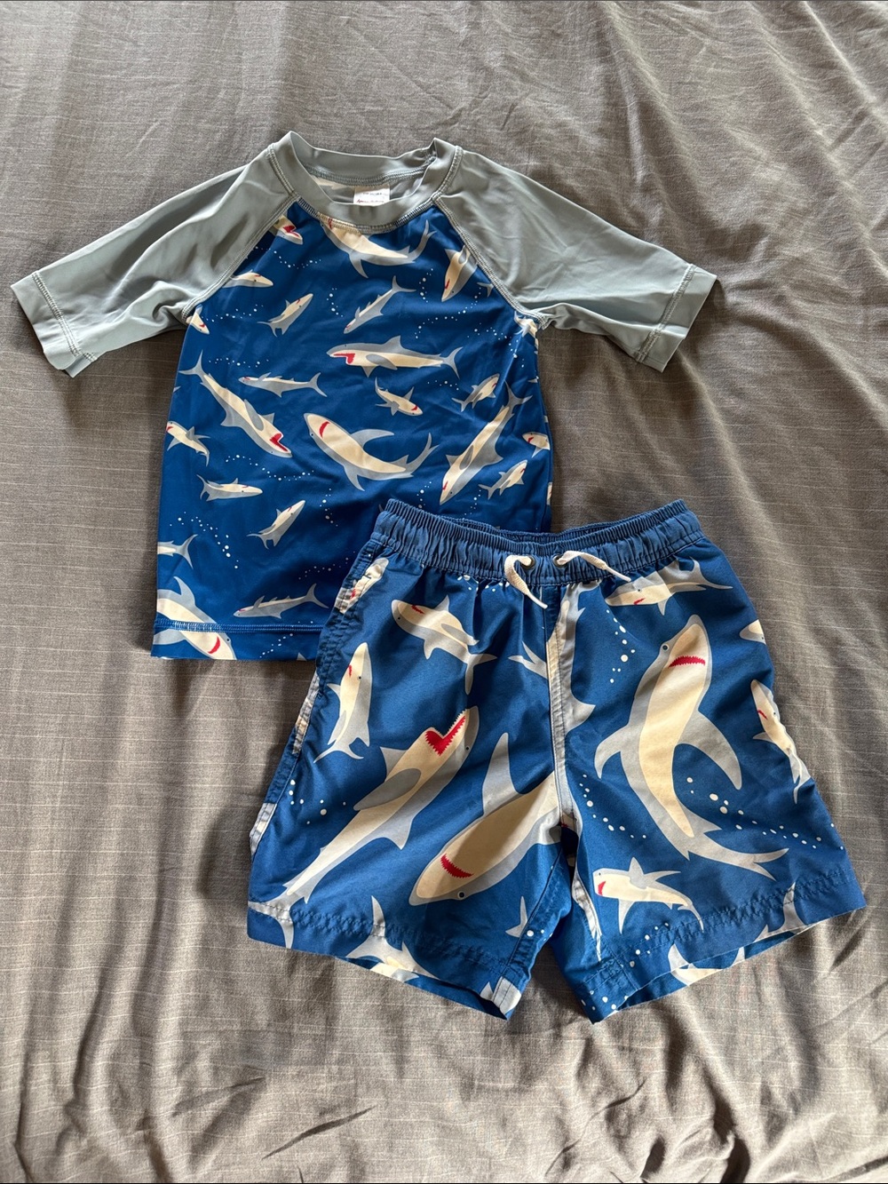 Hanna Andersson Blue and Gray Shark Swim Set